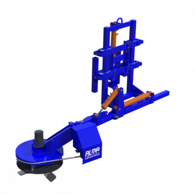 Intercepa compacta Intercepa compacta