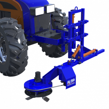 Intercepa compacta Intercepa compacta