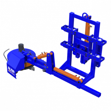 Intercepa compacta Intercepa compacta